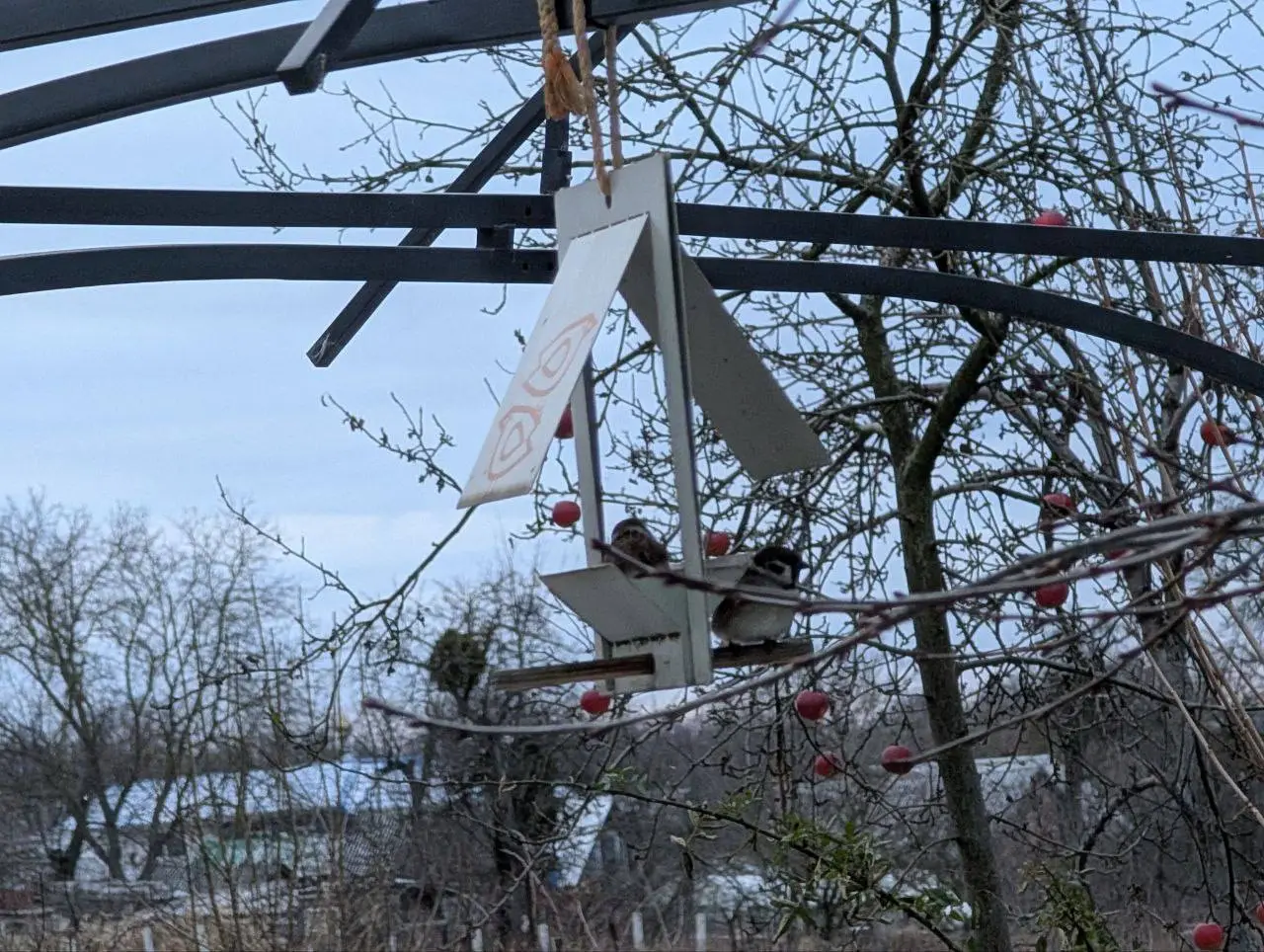 Тепло, яке рятує: як допомогти тваринам узимку разом із дітьми